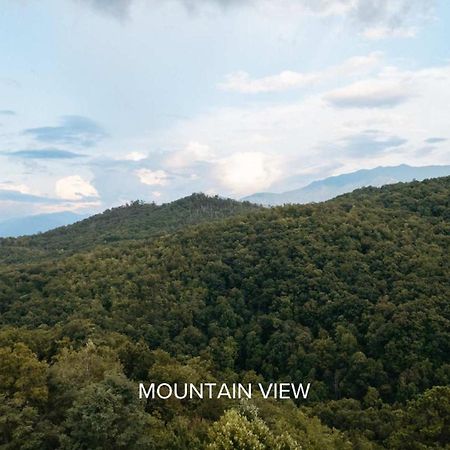 فيلا The Moosewood In Treehouse Grove At Norton Creek جاتلينبرج المظهر الخارجي الصورة